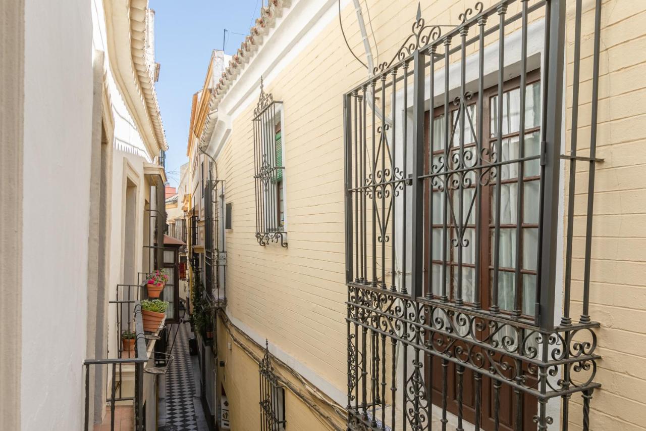 Pensión Casa17 Santacruz