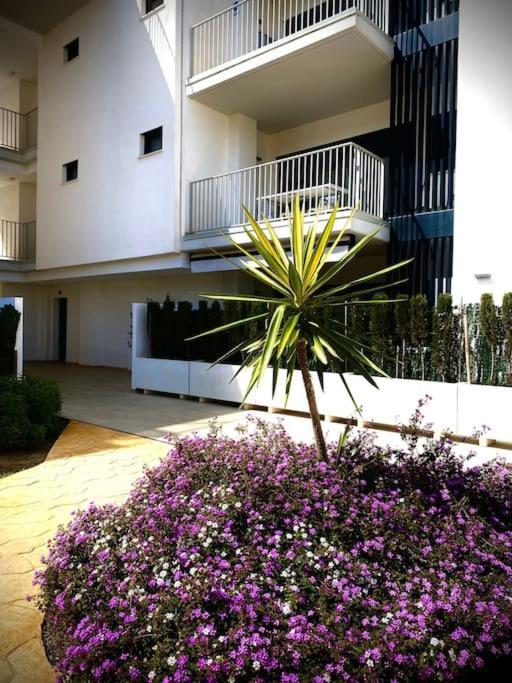 Apartment Mychoice Terraces