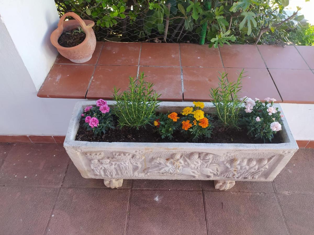 Frasquita * Priego de Córdoba