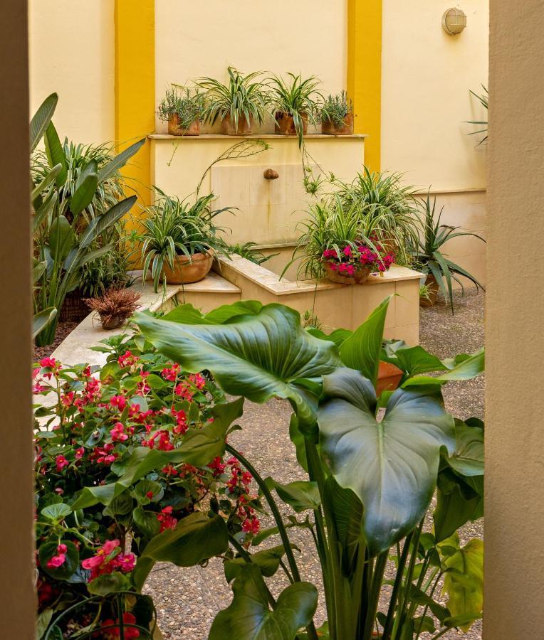 Apartamento Ohliving Triana *