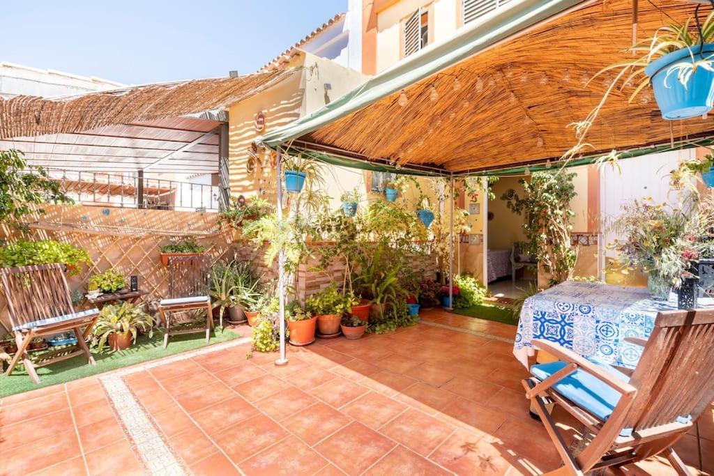 Homestay Cool Garden And