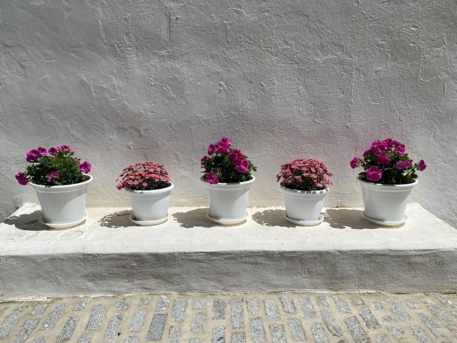 Сasa de vacaciones Casa Galeria La Retinta *