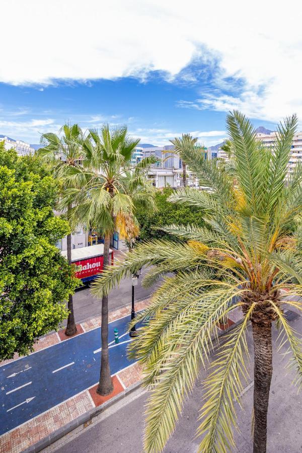 Great Spacious Banus