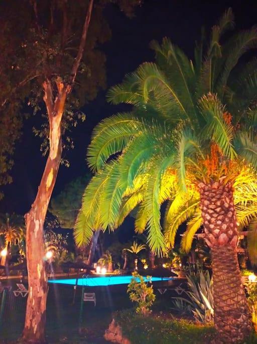 Coqueto Apartamento Puerto Banus * Marbella