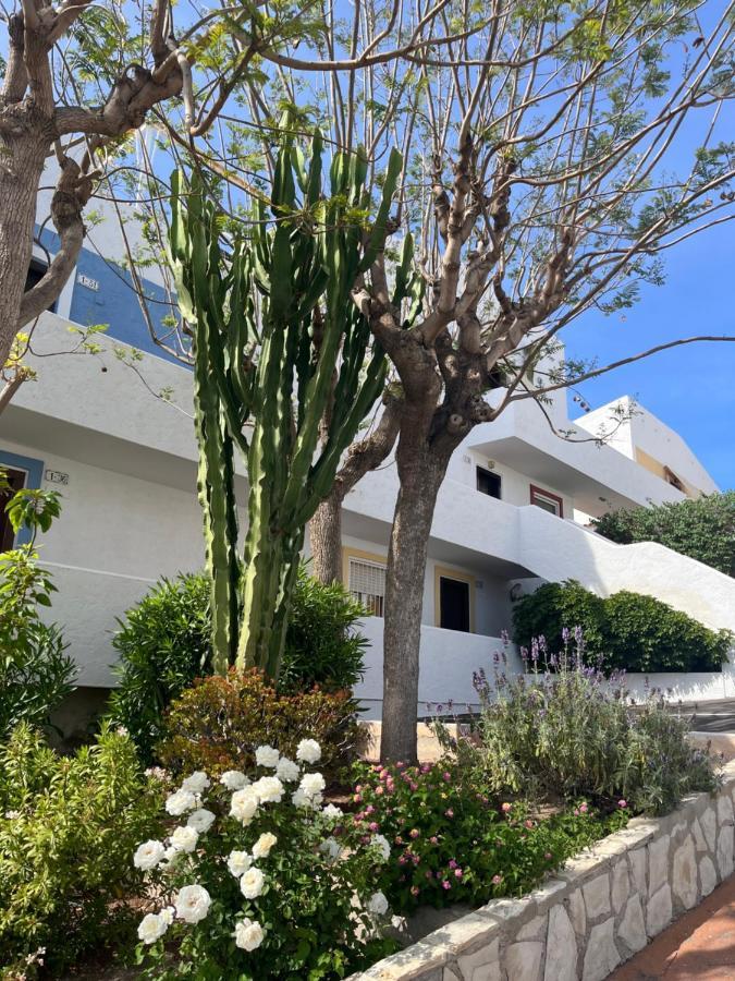 Apartamento Roymar 14 Playa