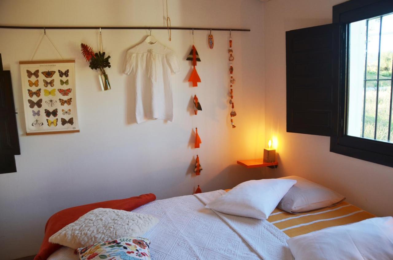 Finca Alegria De La Vida Bed & Breakfast Pizarra