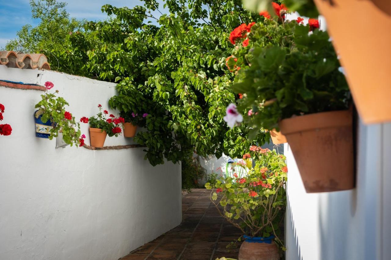 Turísticos Cabo Roche Apartamento