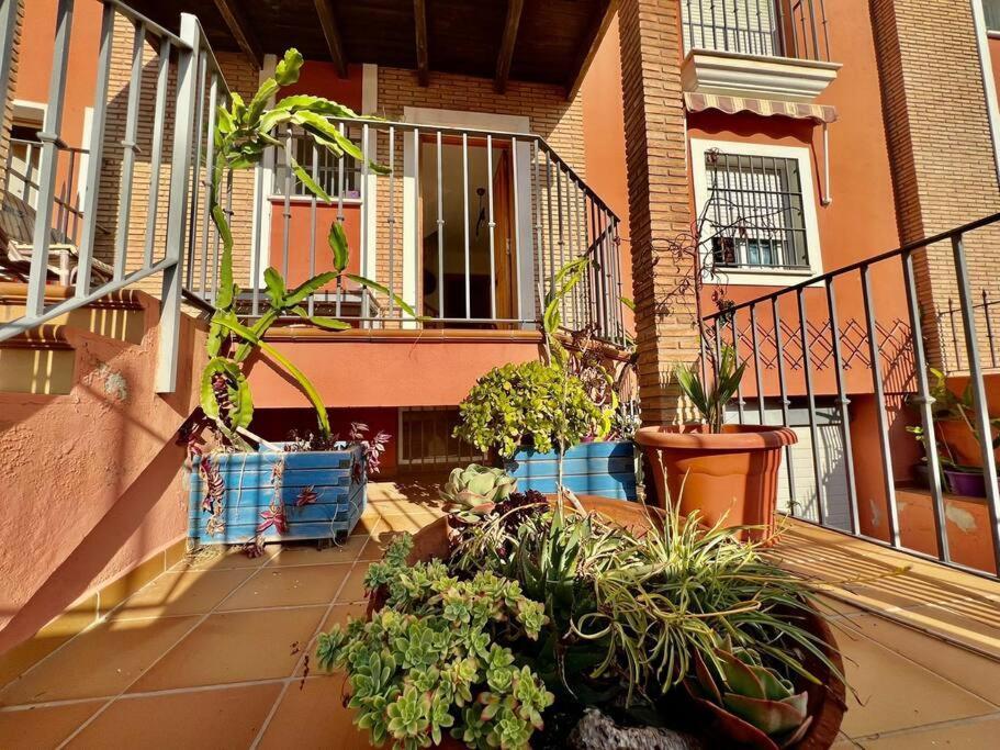 Chalet Brisa Marina Villa Velez Malaga