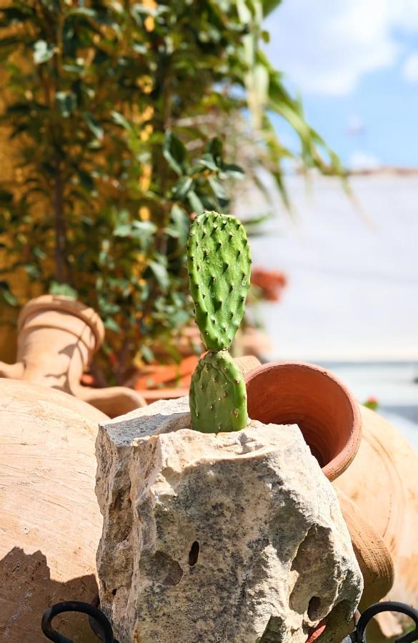 Apartamento Caños *