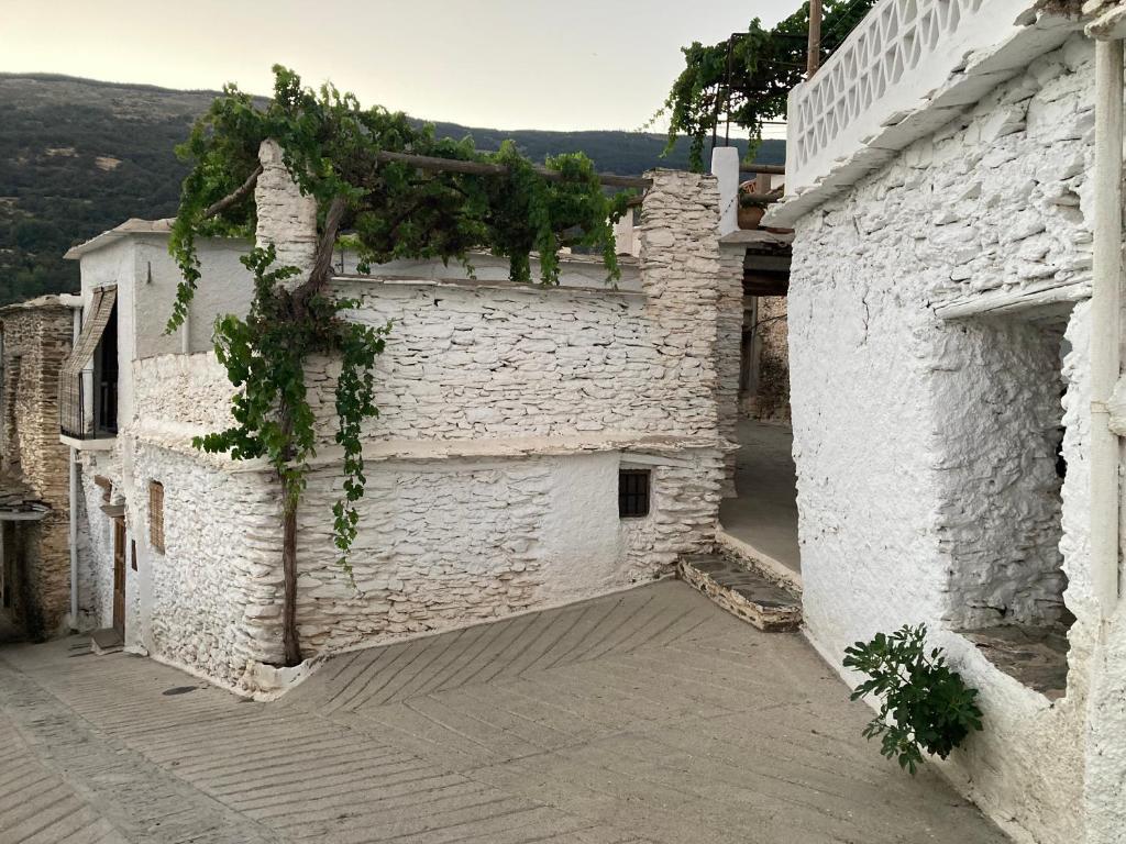 Casa Tradicional Alpujarrena