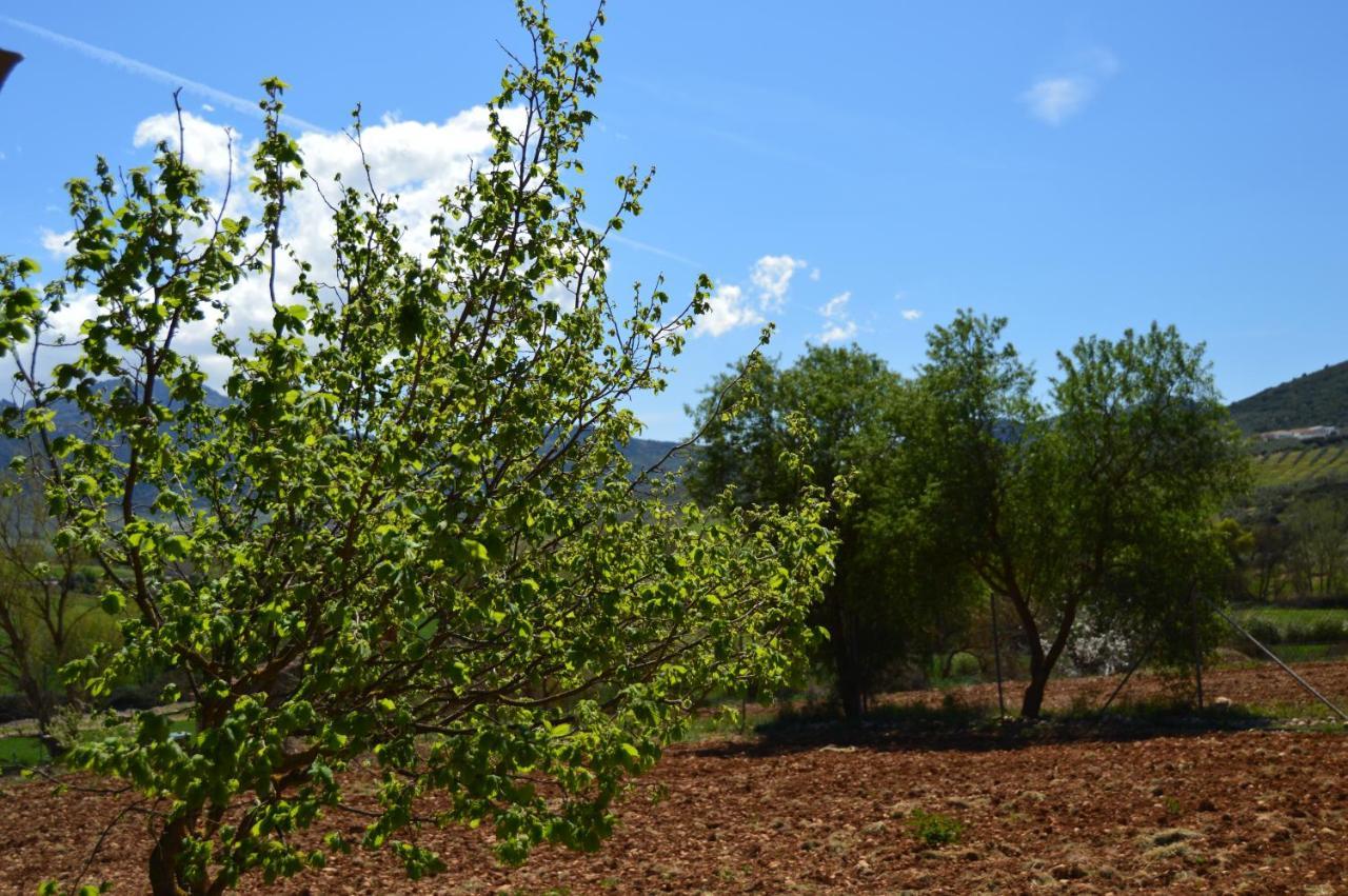 Cortijo Petra *
