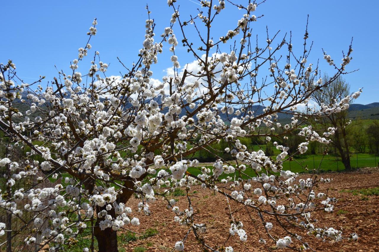 Cortijo Petra