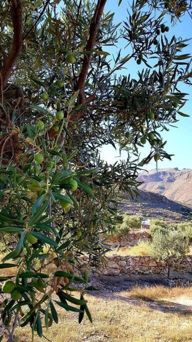 Сasa de vacaciones Has Been Described As One Of The Picturesque Towns In The Whole Of Spain. A Visit To Guarantees The Traveller A Flavour Of The 'real' Andalusia Without The Need To Overspend On The Trip.