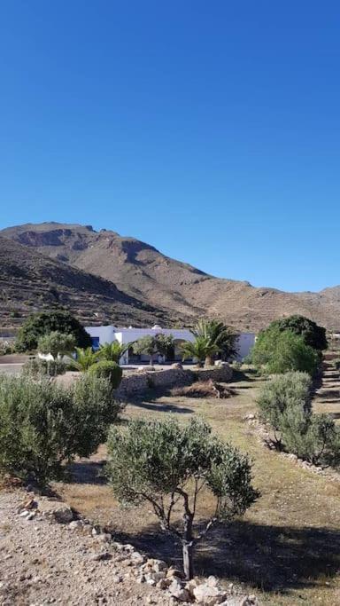 Has Been Described As One Of The Picturesque Towns In The Whole Of Spain. A Visit To Guarantees The Traveller A Flavour Of The 'real' Andalusia Without The Need To Overspend On The Trip. *