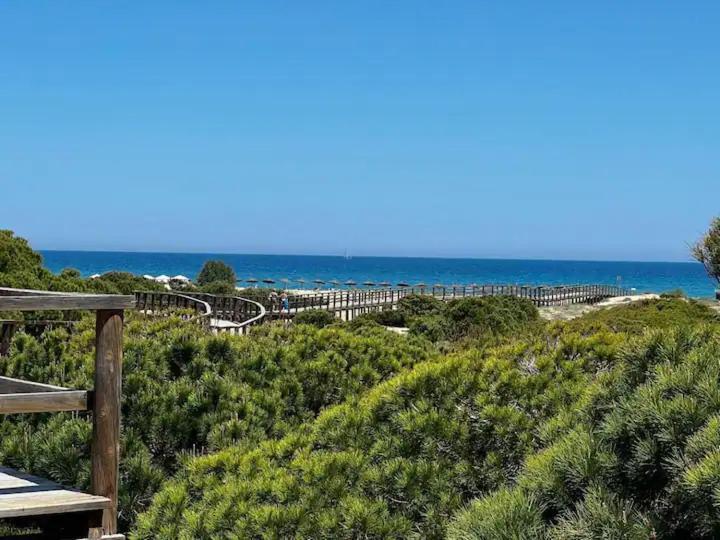 Casa Canarias En Alicante, Playa Y Piscina *