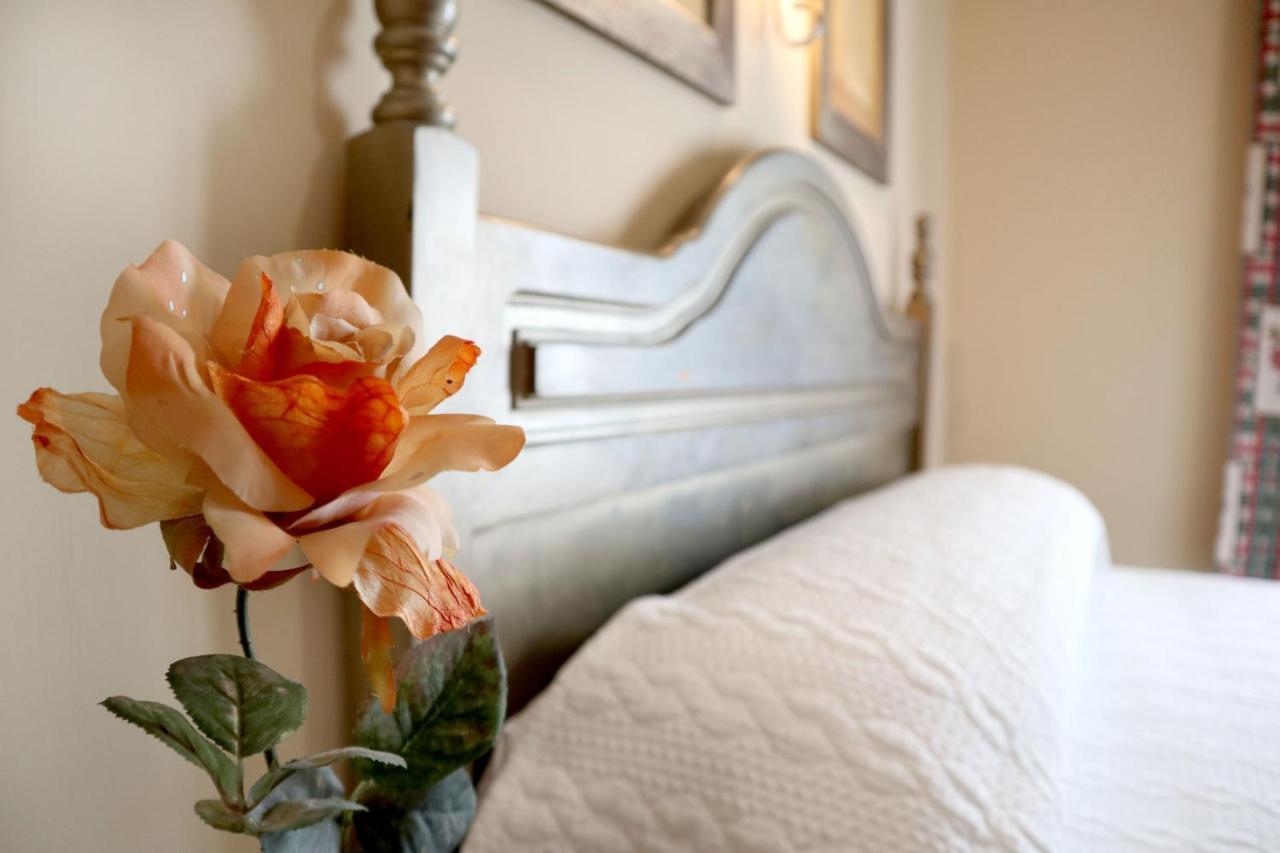 Guest house Victoria La Carlota