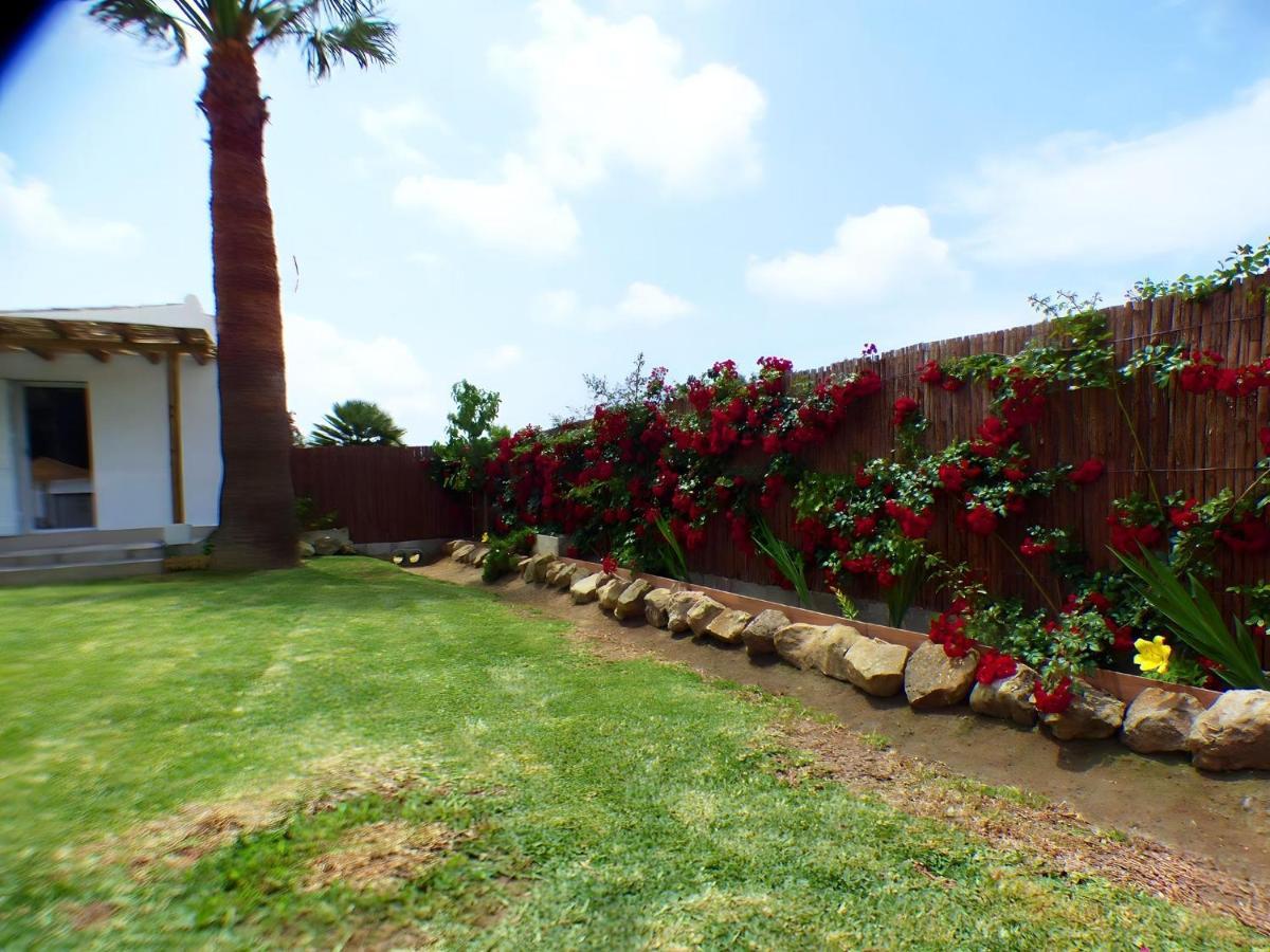 Le Petit Casa Con Piscina Privada * Conil De La Frontera