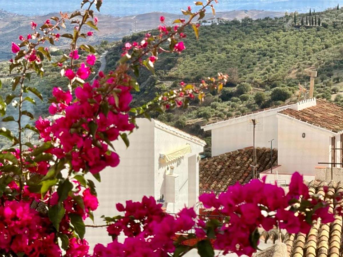 Casas La Vista B