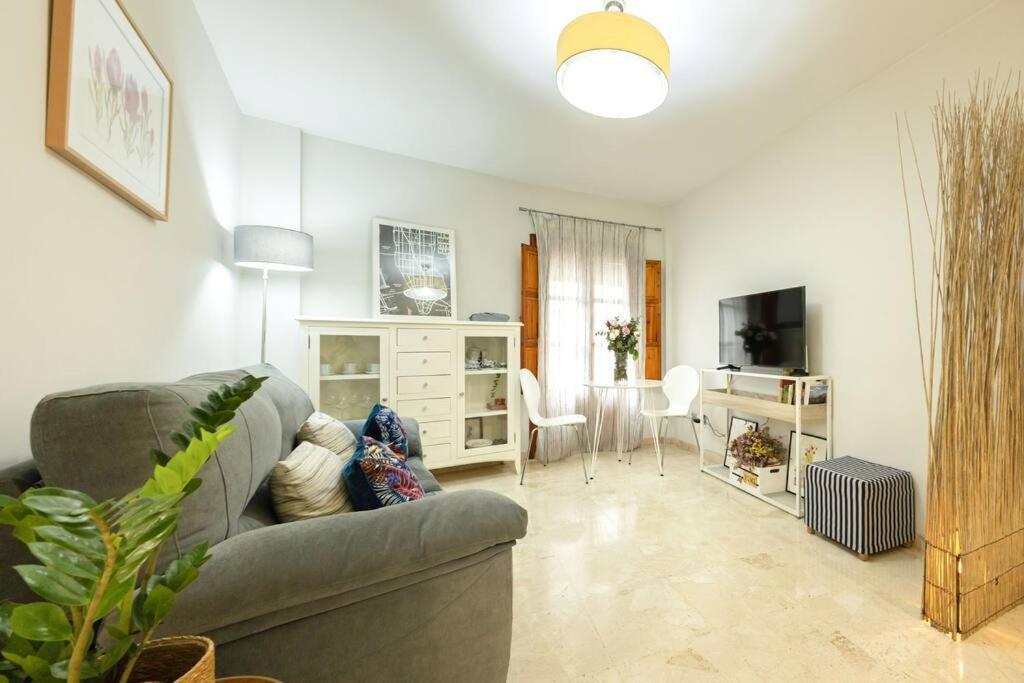 Pajaritos Center By Valcambre Apartamento