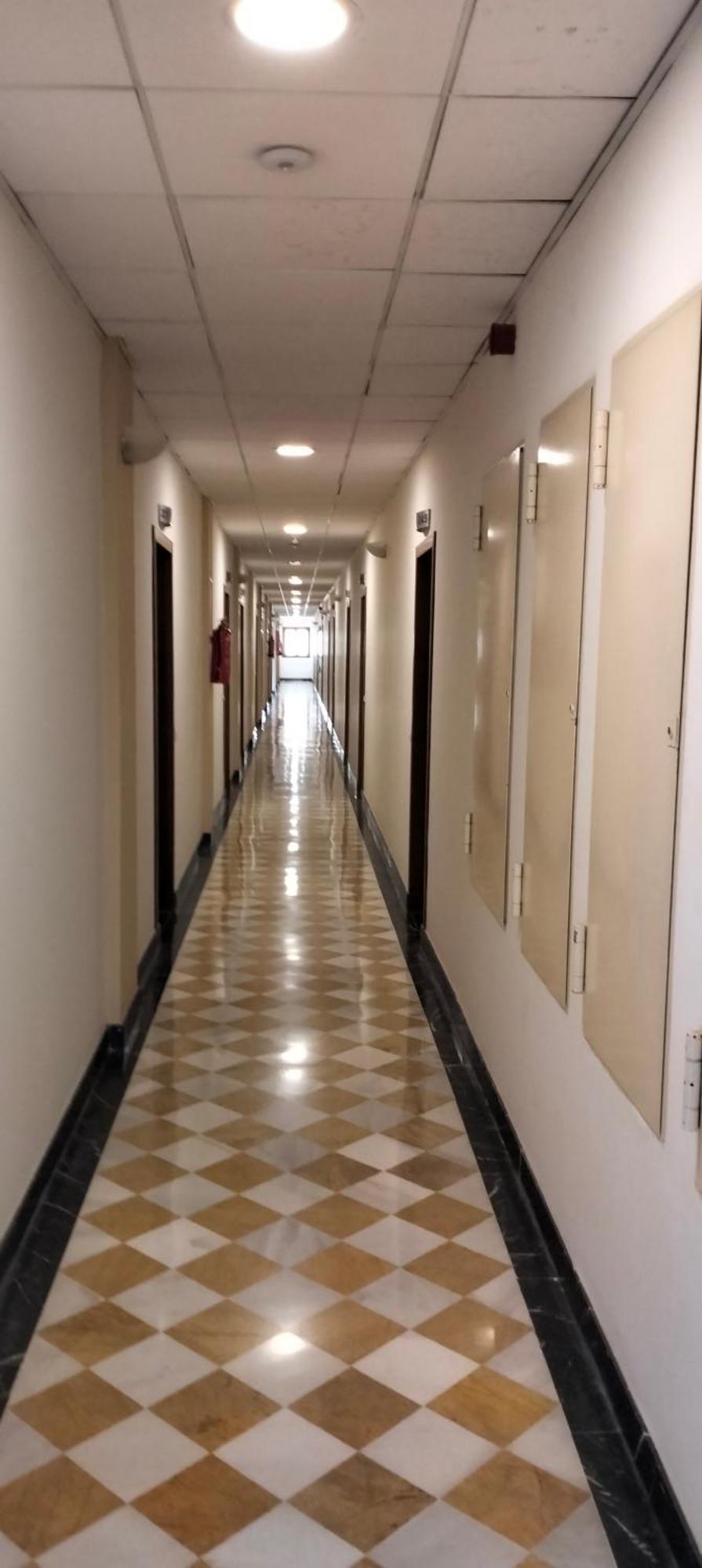 Estudio Fibes-palacio Sevilla