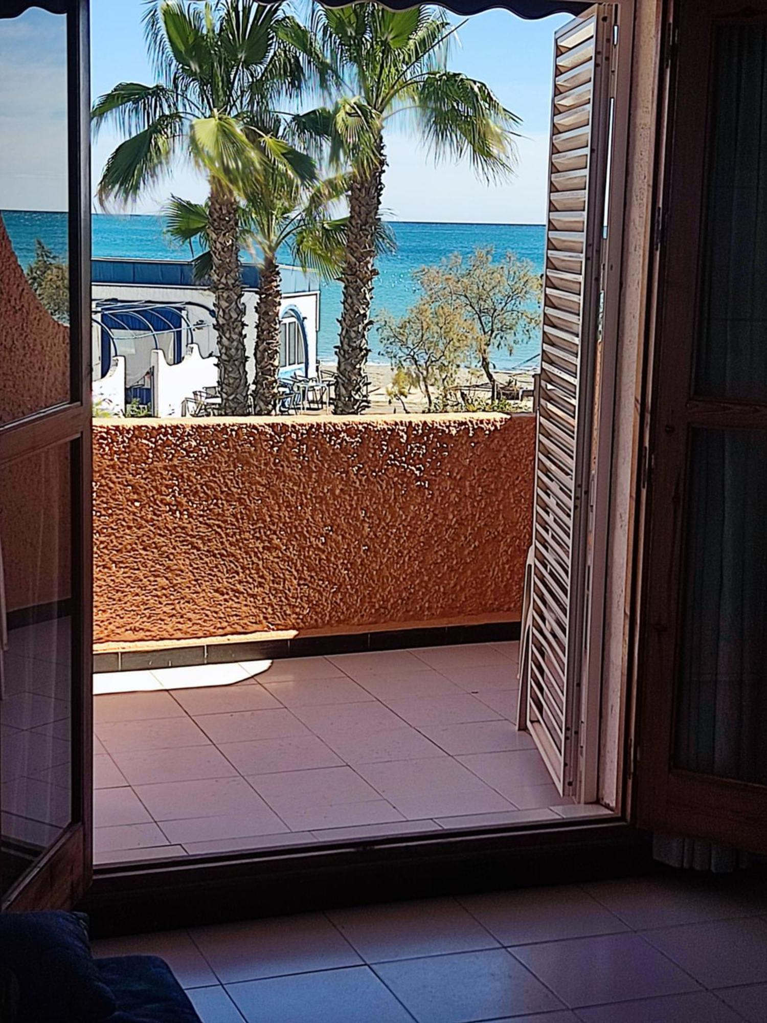Estudio Naturista 1 *