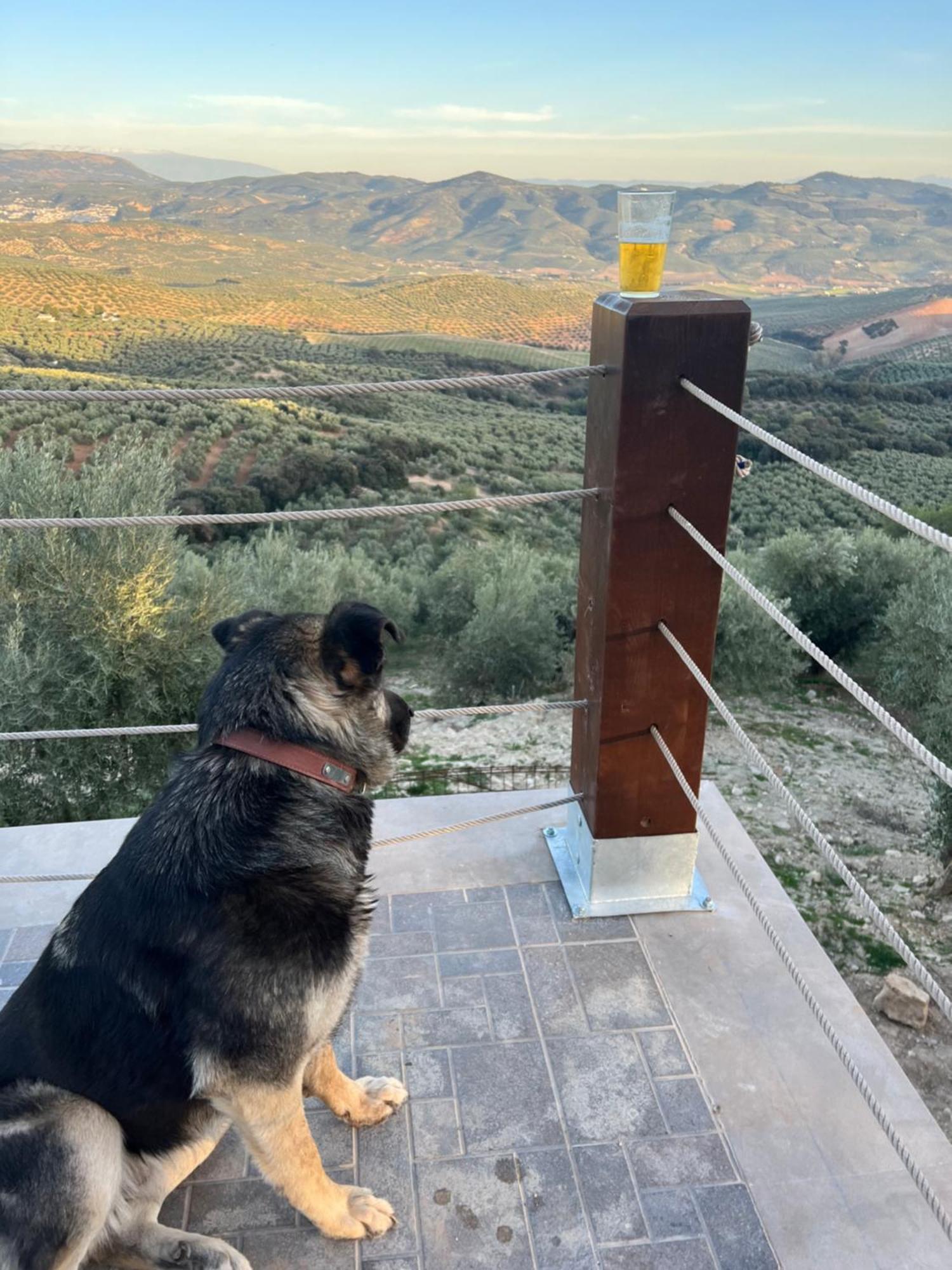 Cortijo La Solana Сasa de vacaciones Montefrío