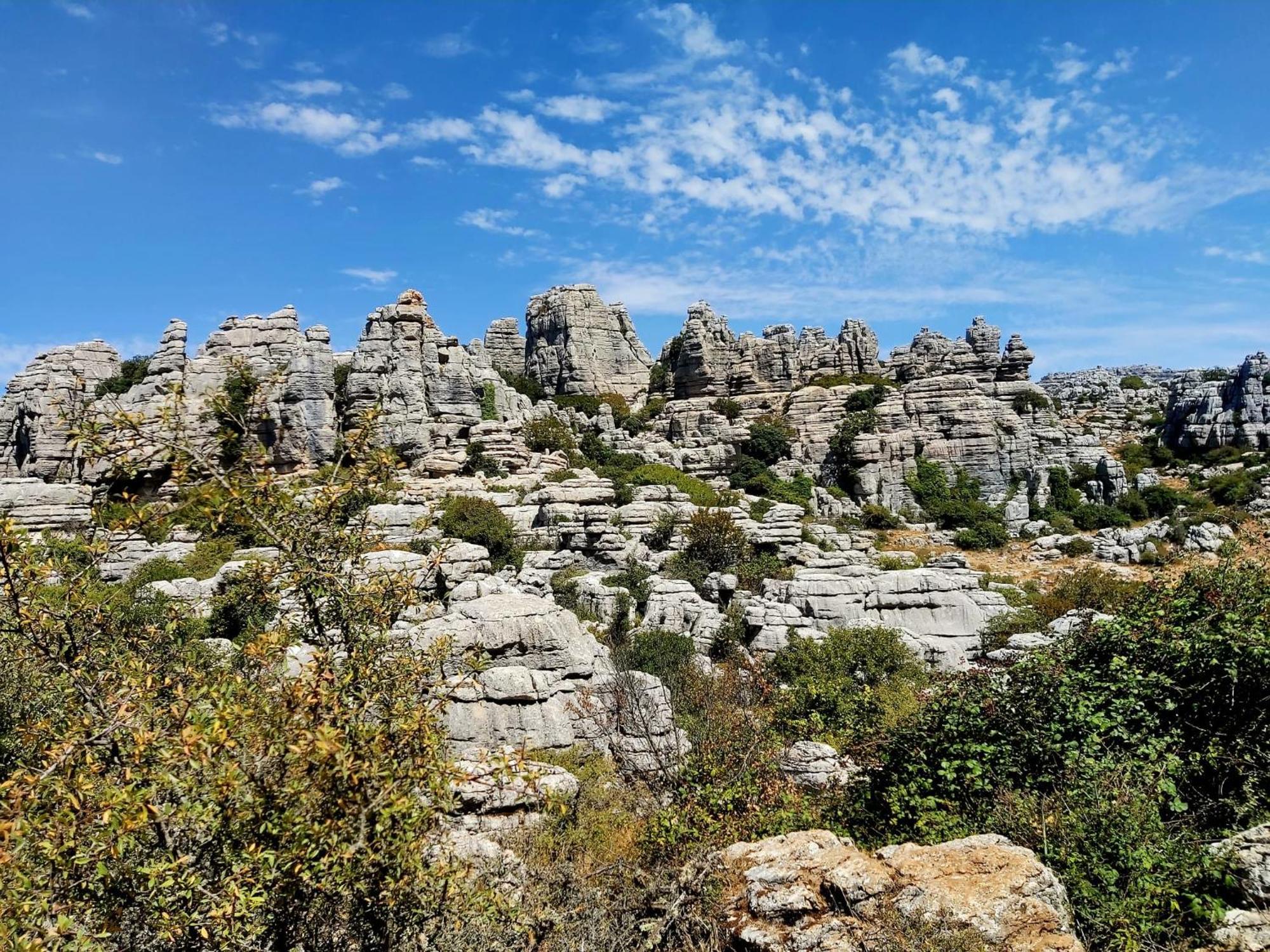 Cactus Hill - Safari Tents - Caminito Del Rey