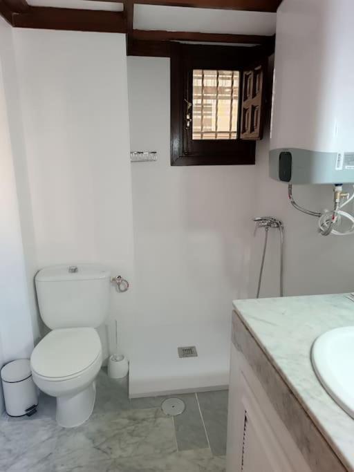 Apartment Catedral *