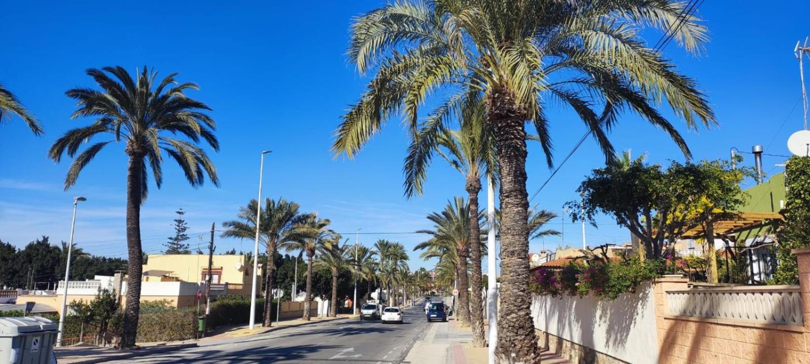 Alicante Airport And Apartamento El Altet