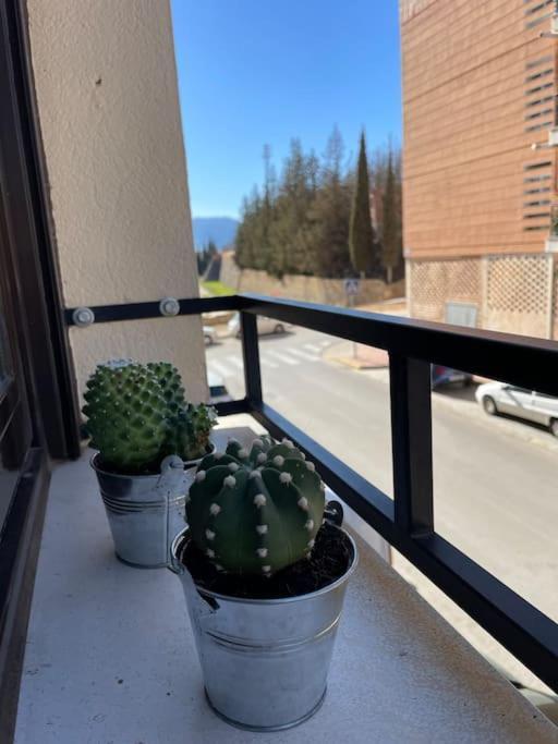 Cyncris Apartment