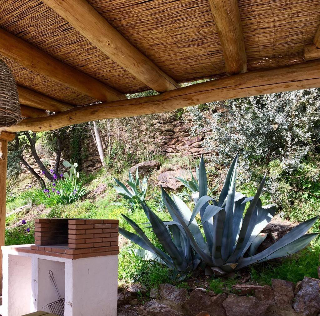 Cortijo La Vinuela Holiday home *