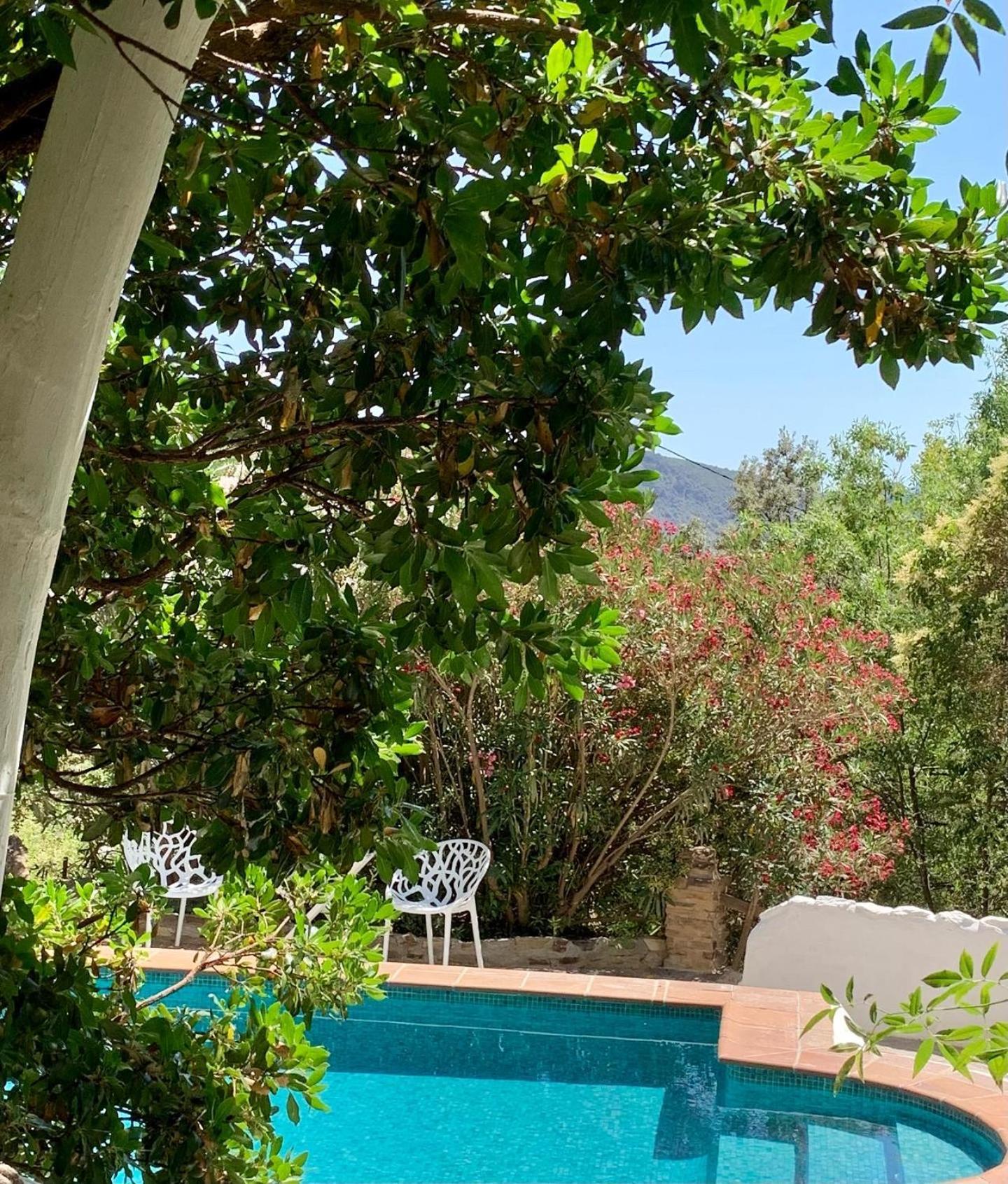 Holiday home Cortijo La Vinuela *