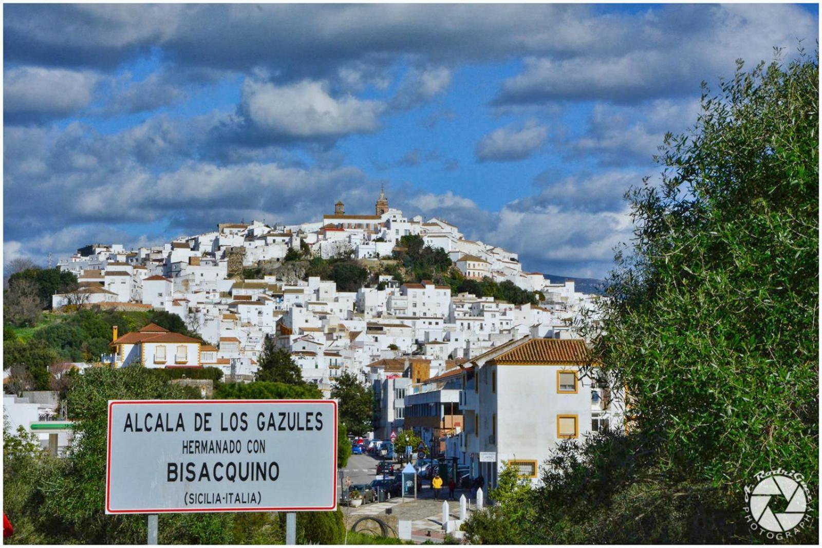Vientos De Alcornoque