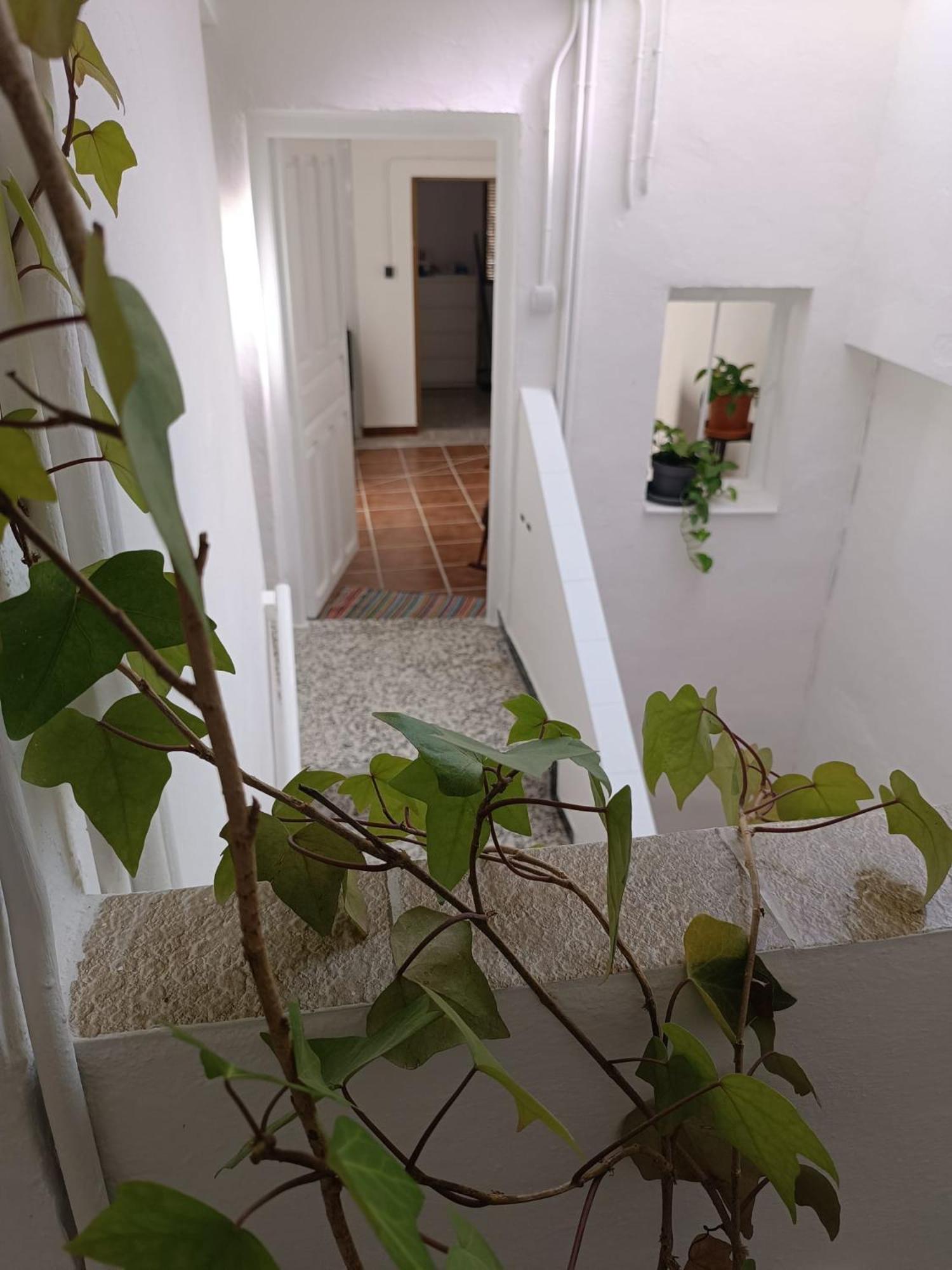 La Casita De Maria * Setenil De Las Bodegas