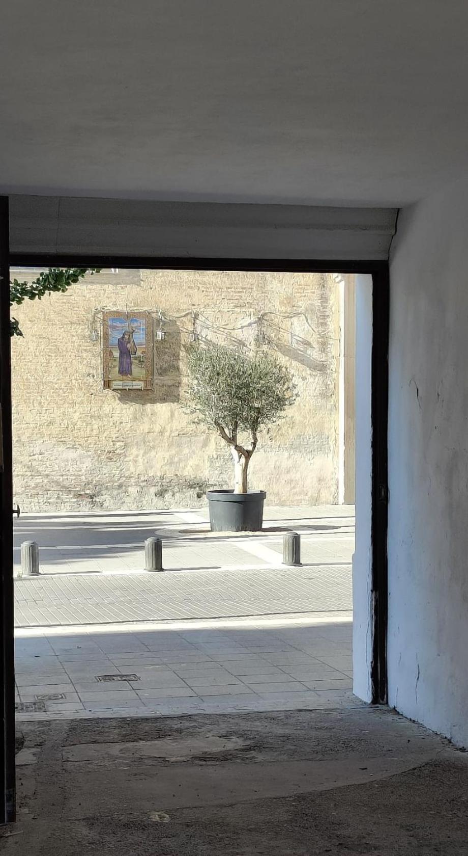 Apartamento Satya. En El Corazon De Sanlucar *