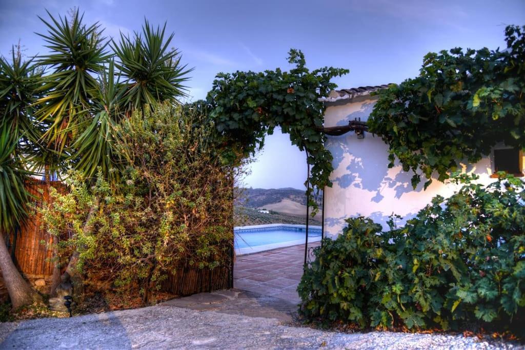 Campanas Ii Bed and breakfast