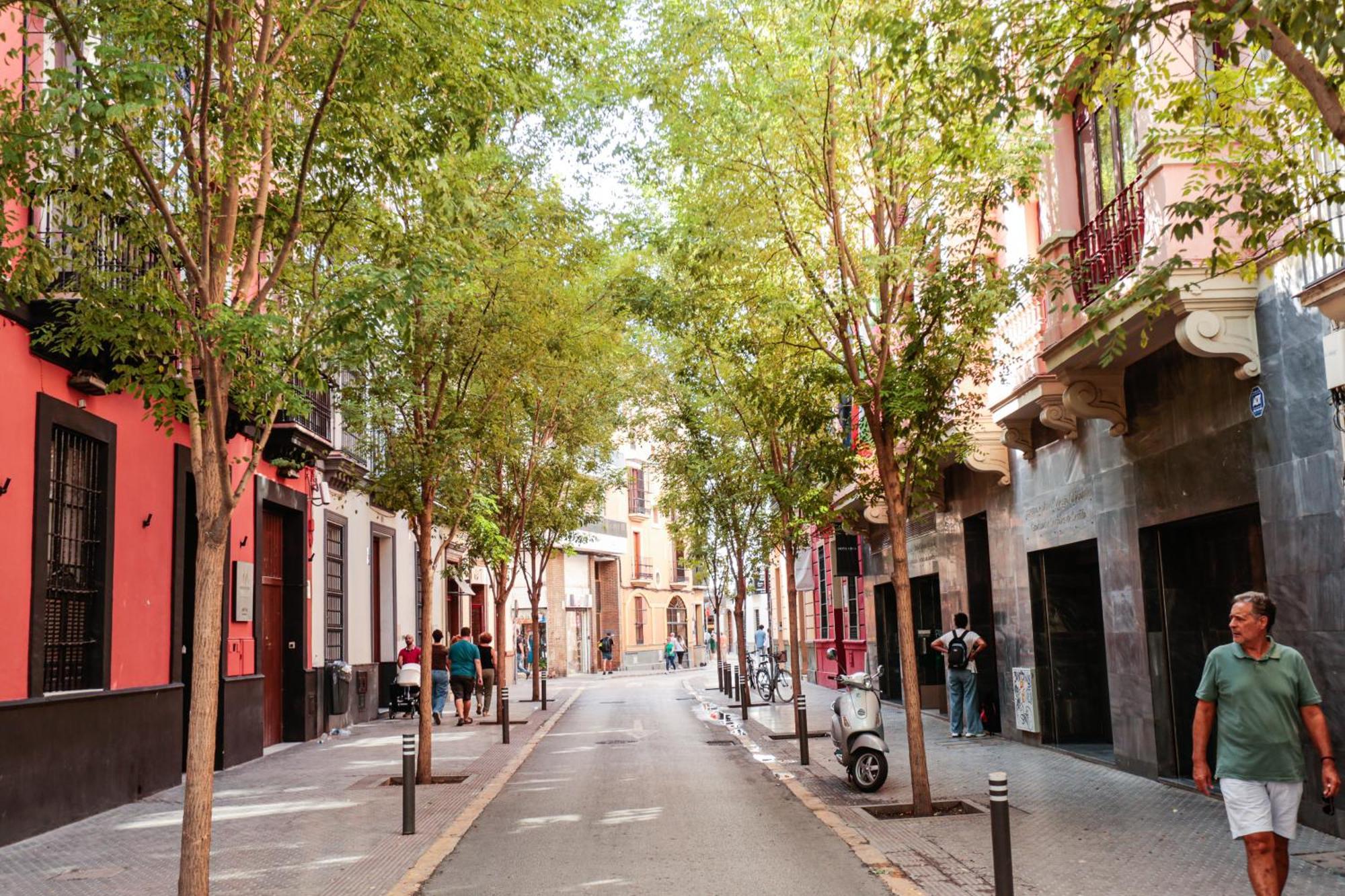 Monkeys Cervantes Apartamento Sevilla