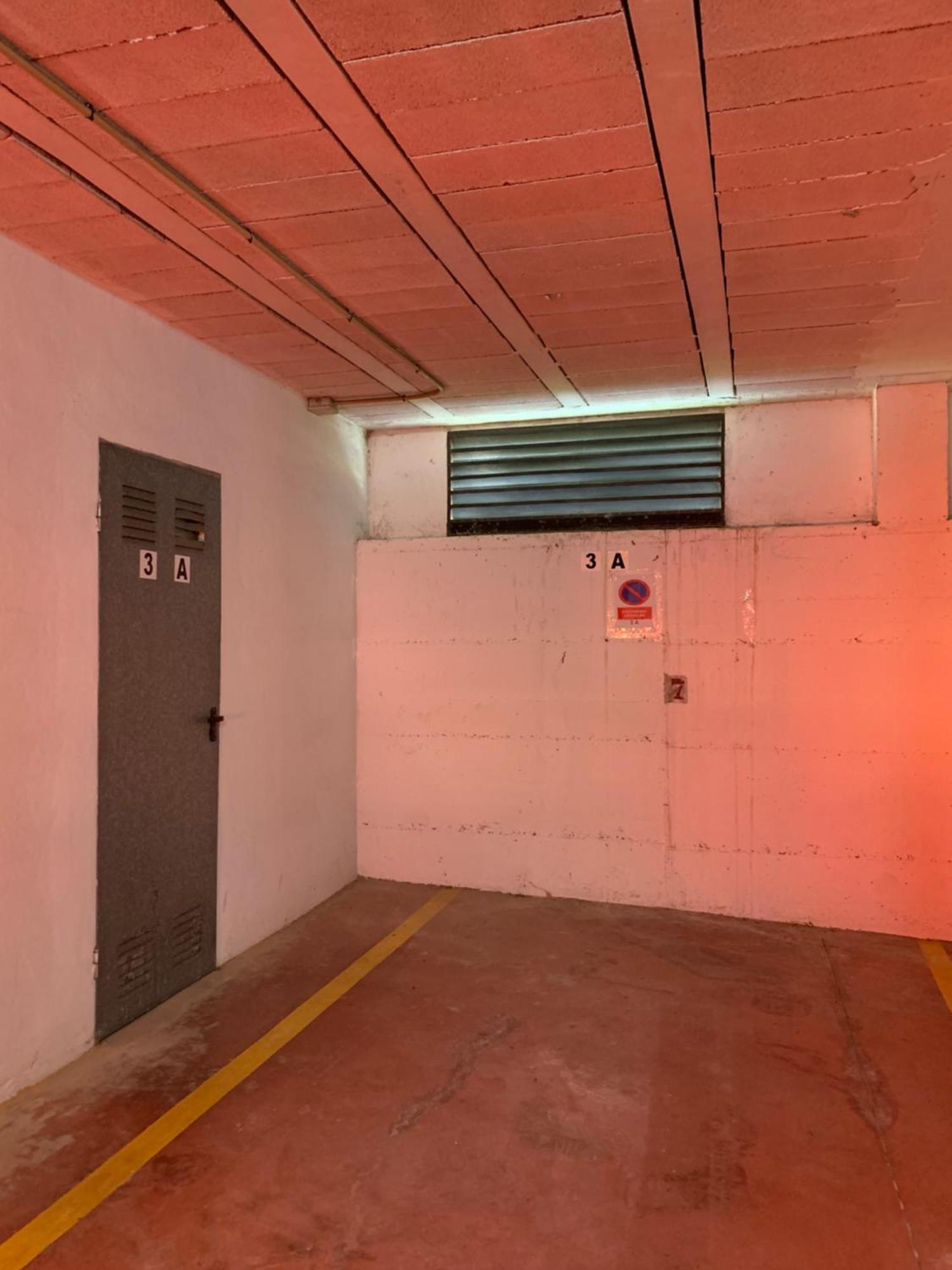 Tulipanes Apartamento