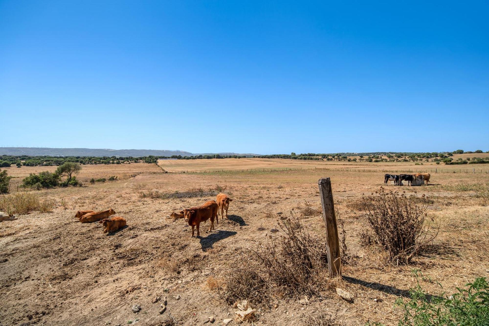 Casa Andrea Country house Barbate
