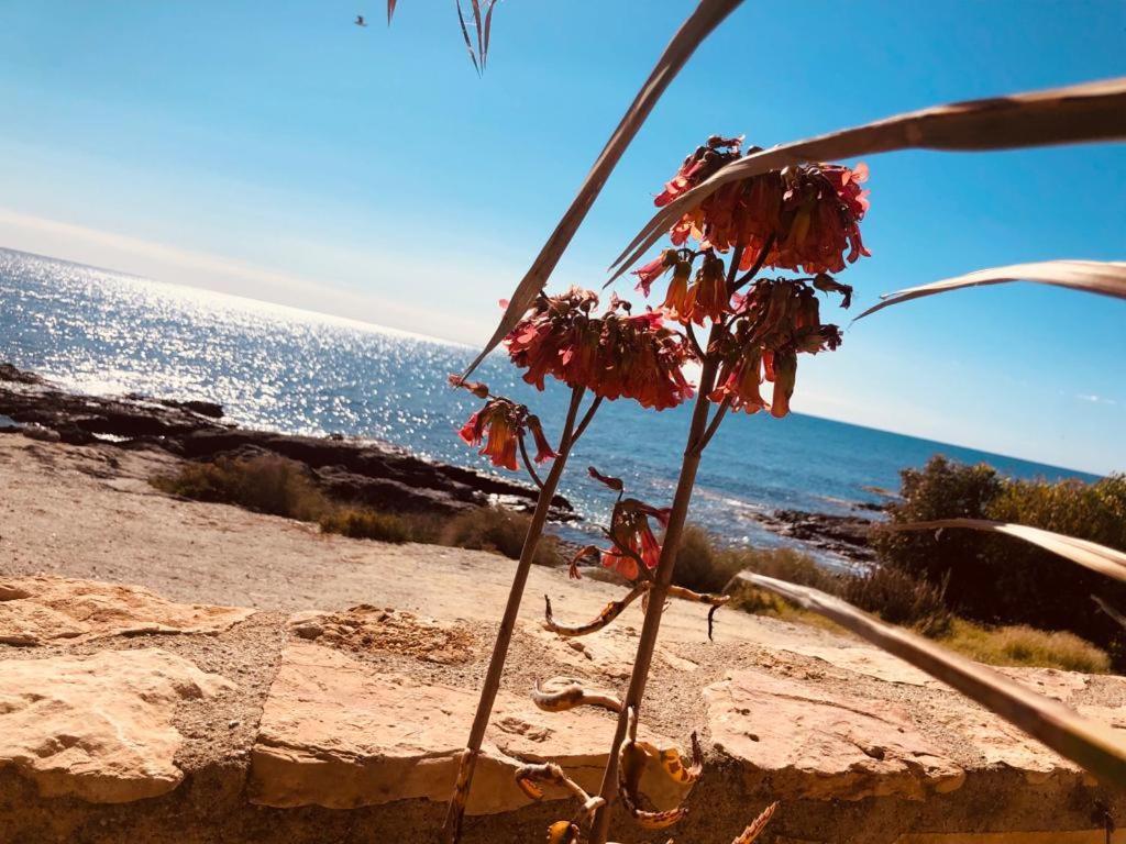 Mangata Holiday home Cuevas del Almanzora