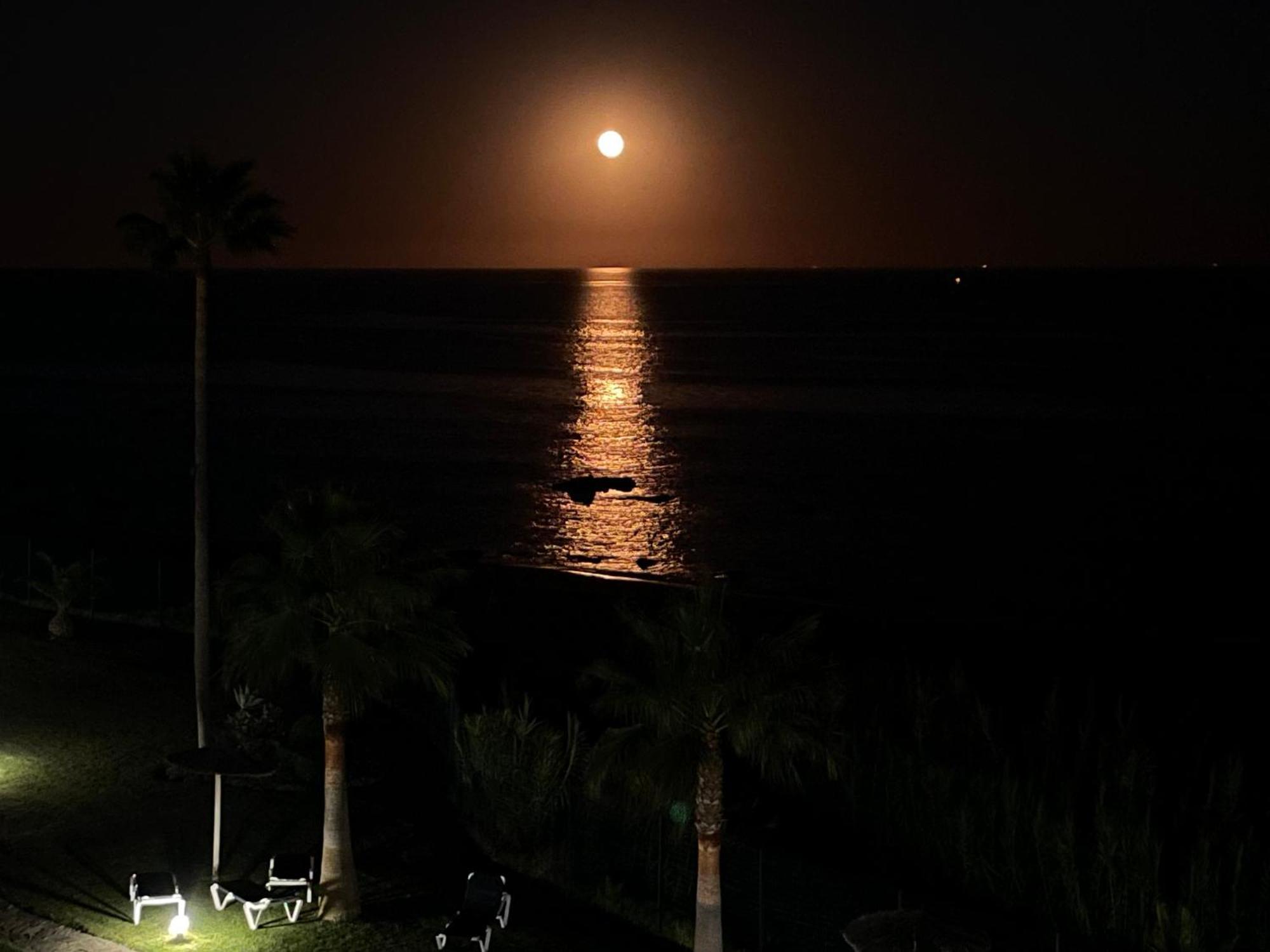 Exclusive Luxury Frontline Penthouse Del Mar - Estepona *