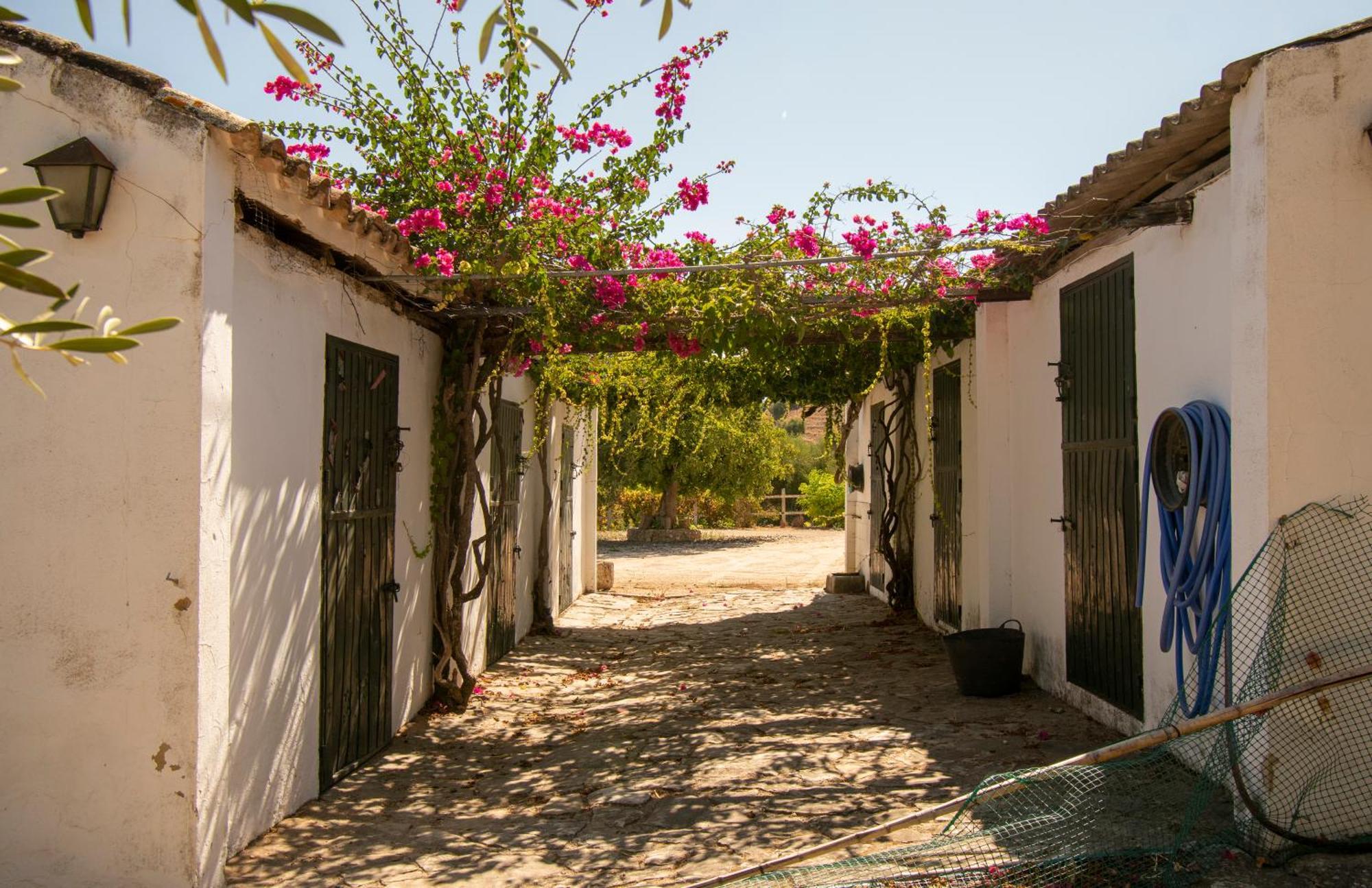 El Carmen Holiday home *