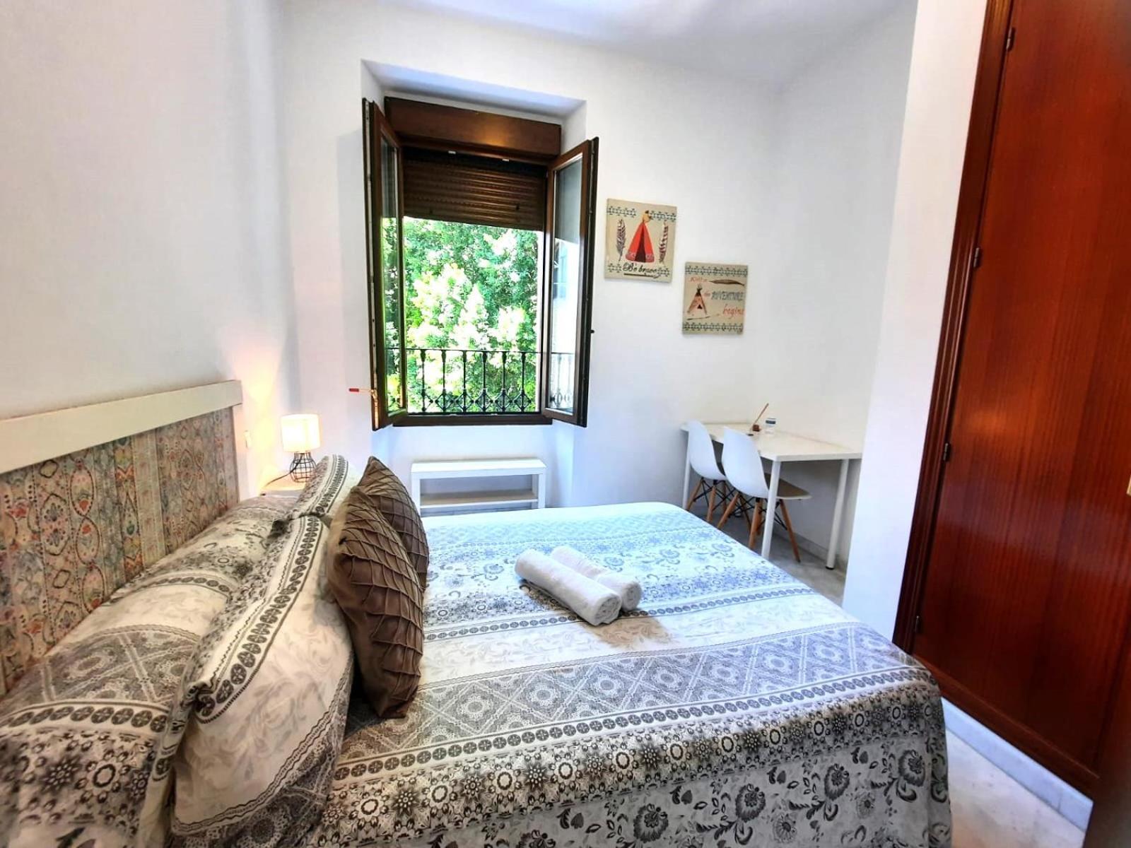 Budget Downtown Apartment