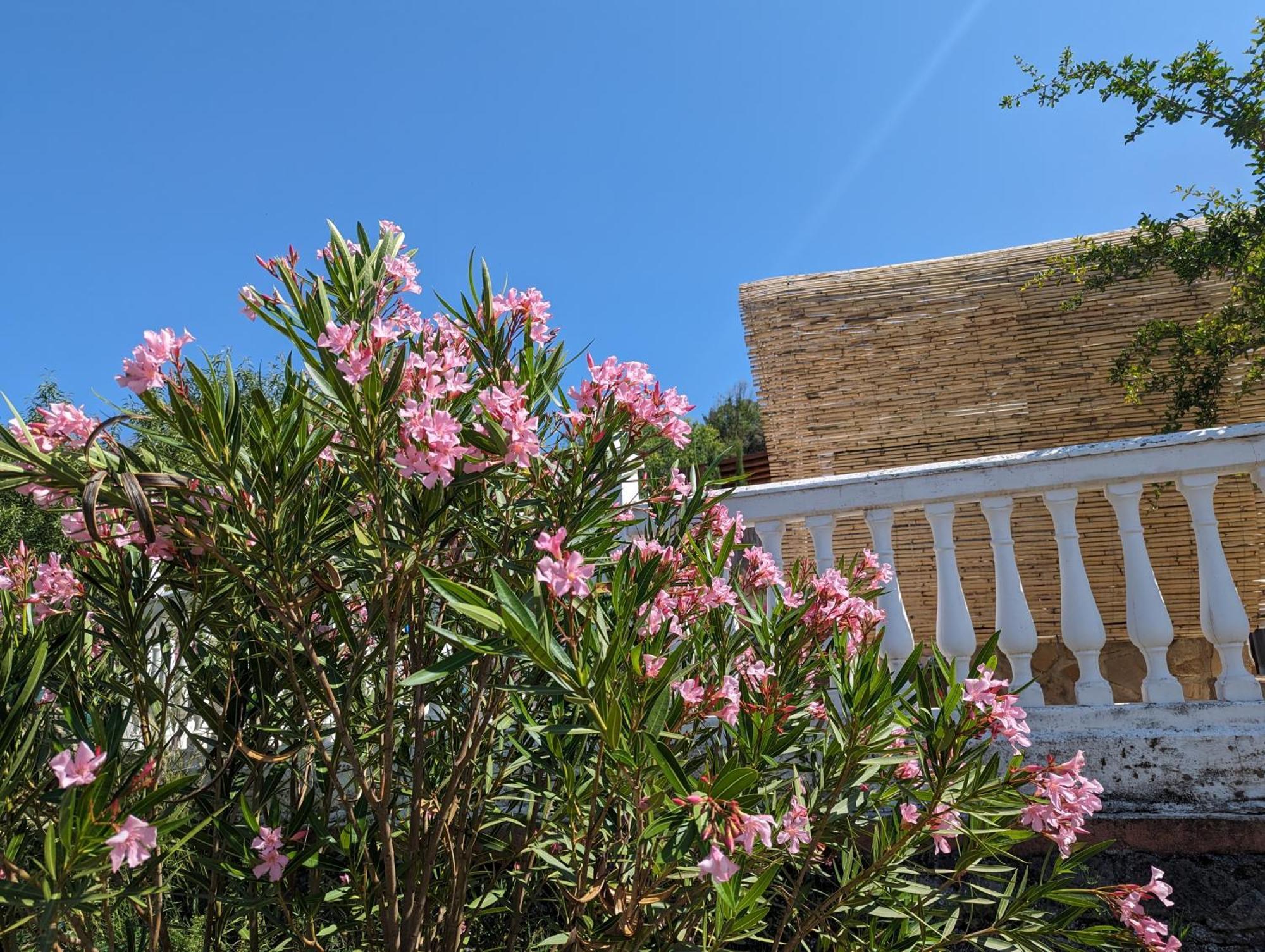 Holiday home Ruhiges Landliches Ferienhaus 6 Personen Privat Pool Wandern El Gollizno Route Buenavista (Granada)
