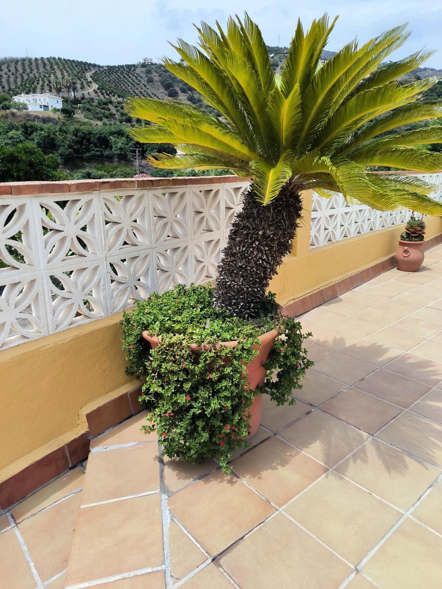 Villa Cortijo Maria Gomez *