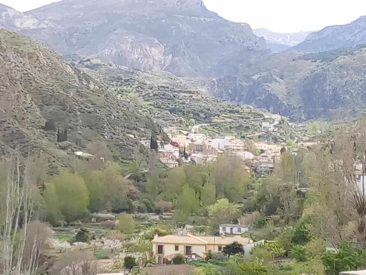 Huertas De Roque *
