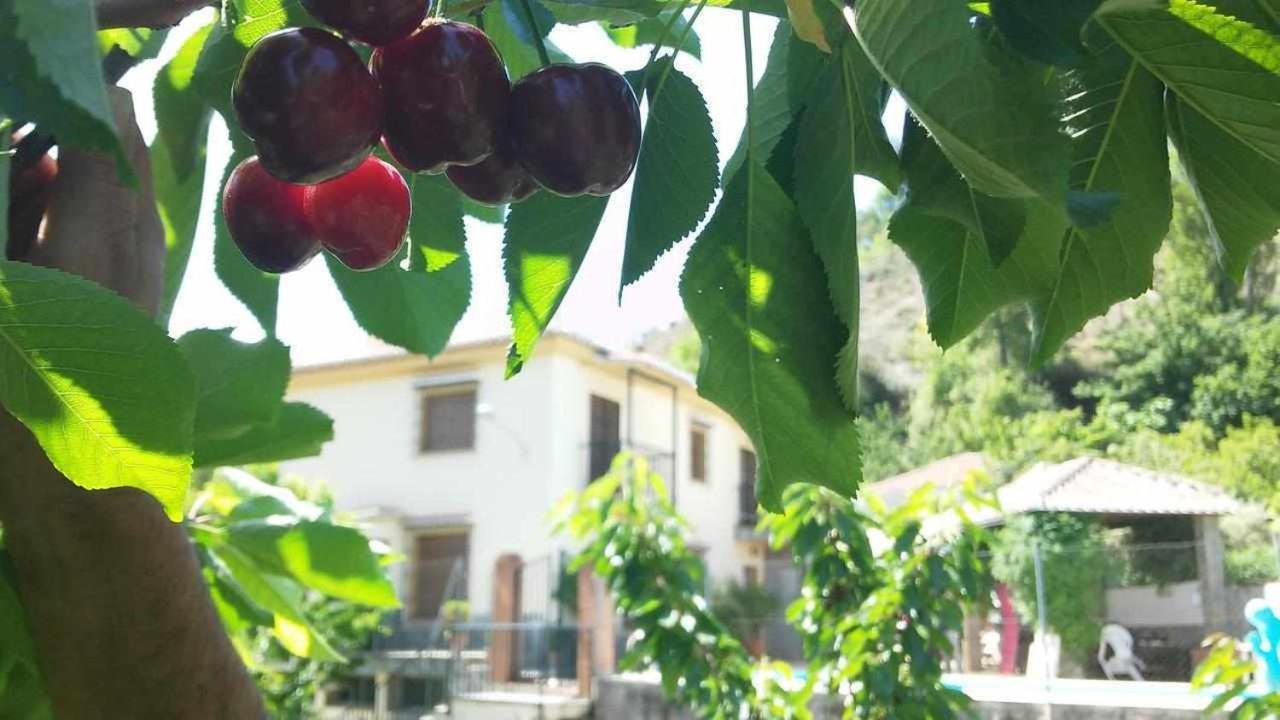 Huertas De Roque Сasa de vacaciones