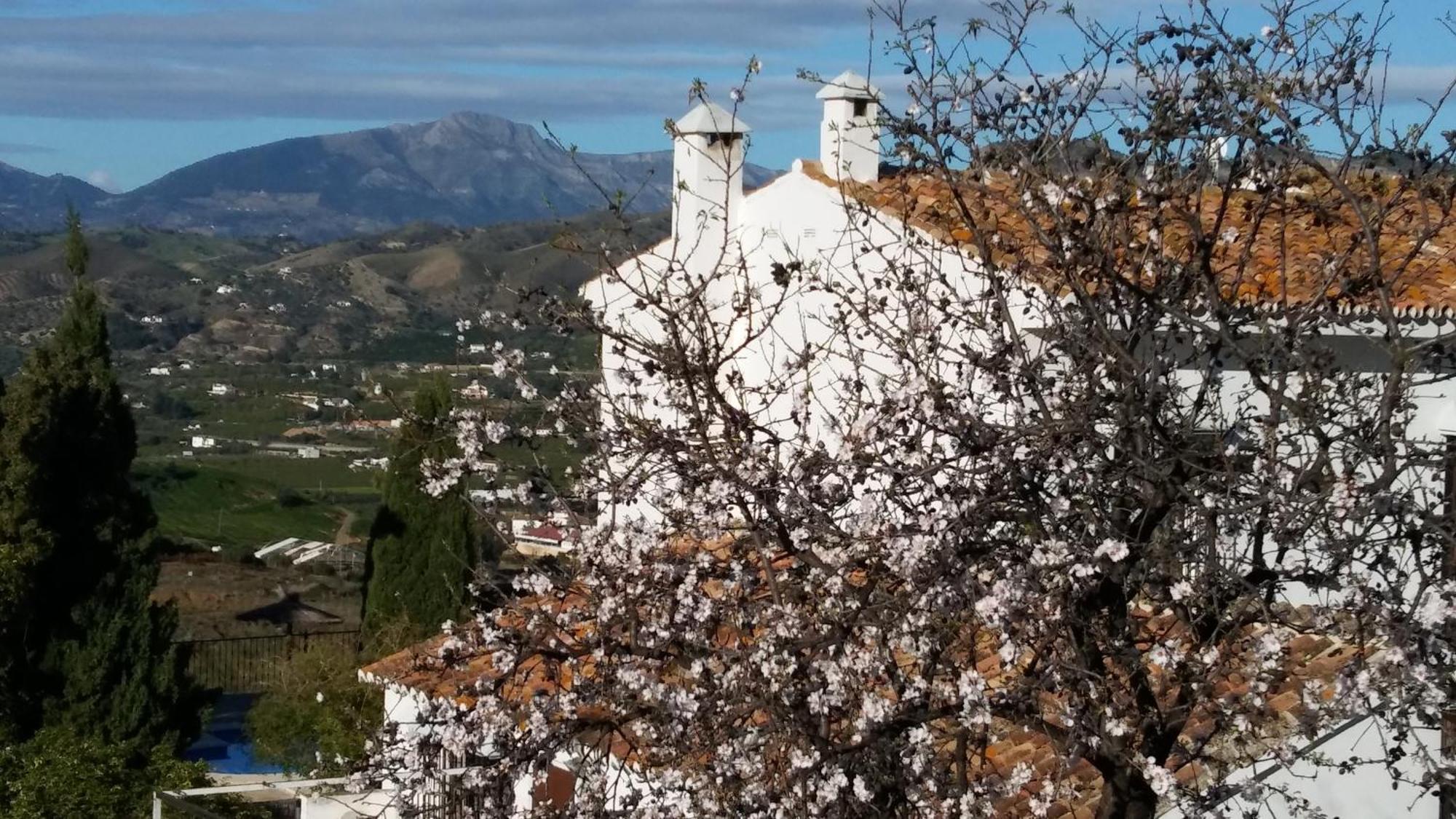Casa Domingo * Alora
