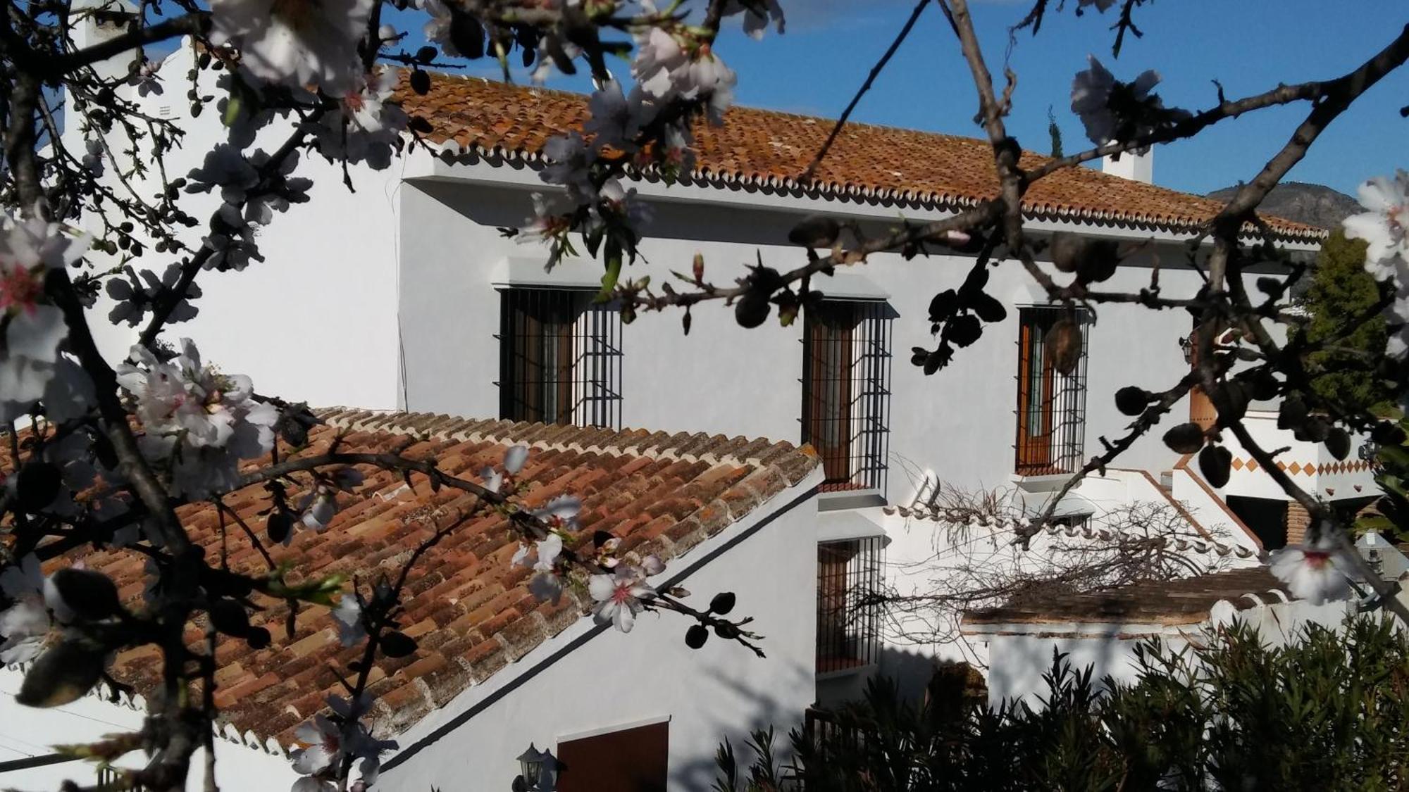 Casa Domingo *