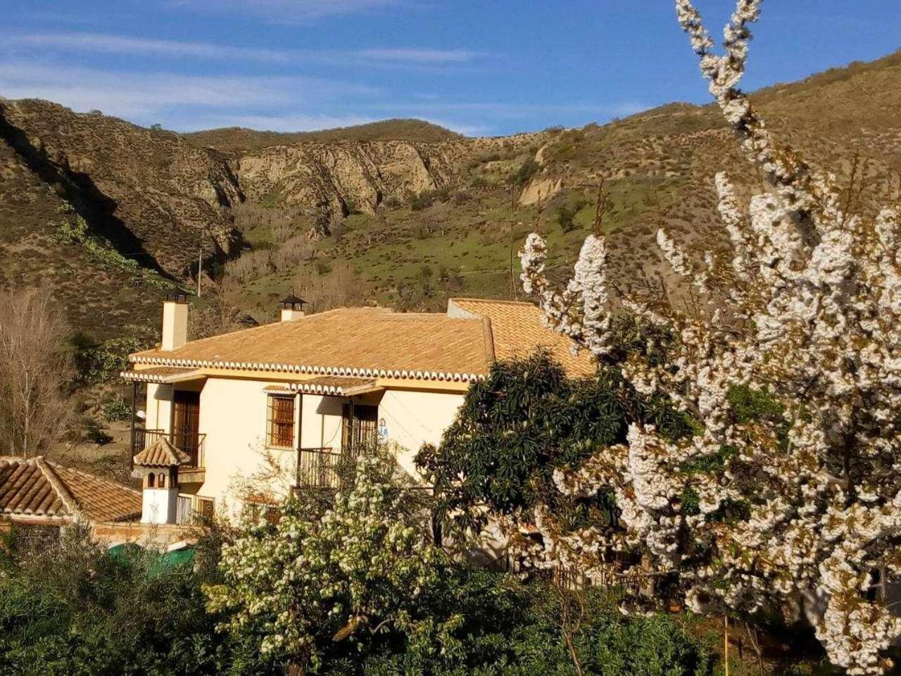 Huertas De Roque Monachil